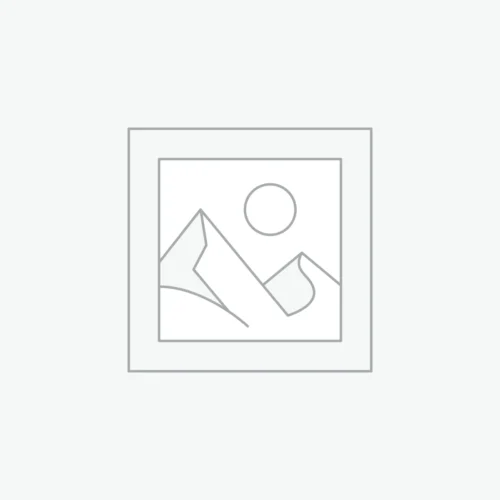 Khóa học trả phí The Complete Web Development Bootcamp